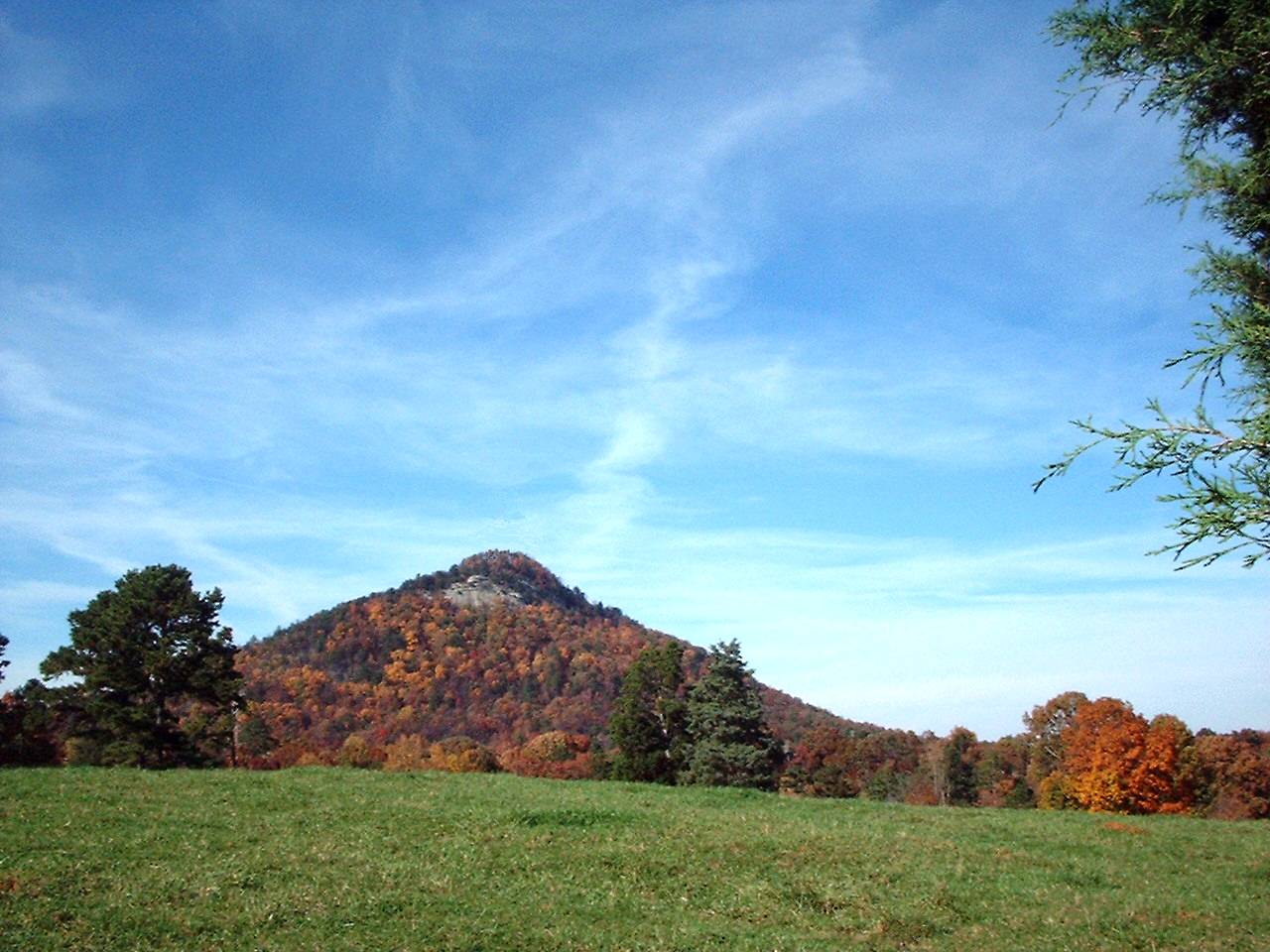 Georgia Regional